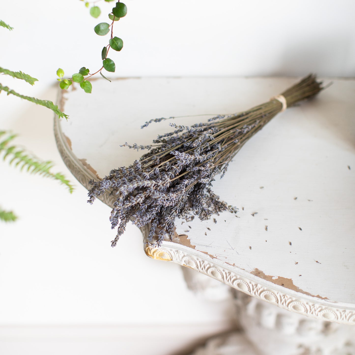 English Lavender Bundle