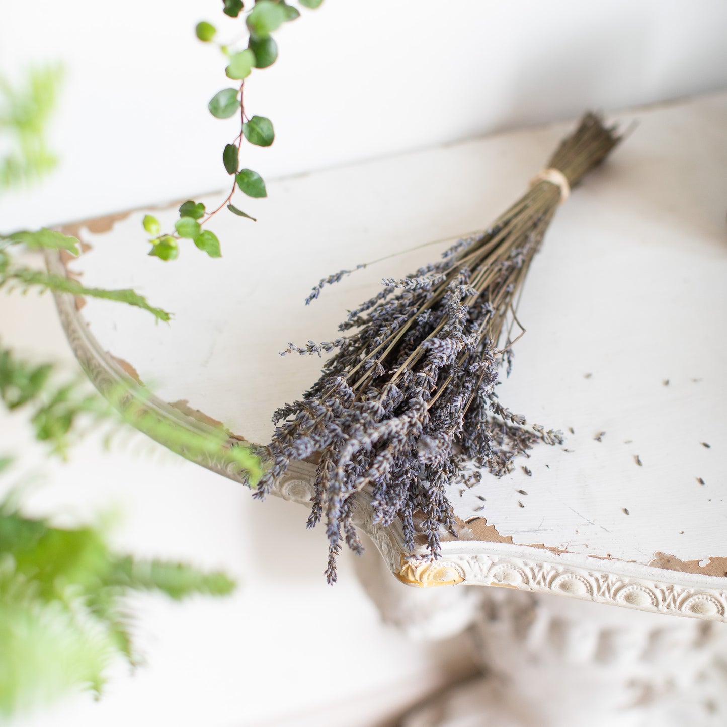 English Lavender Bundle