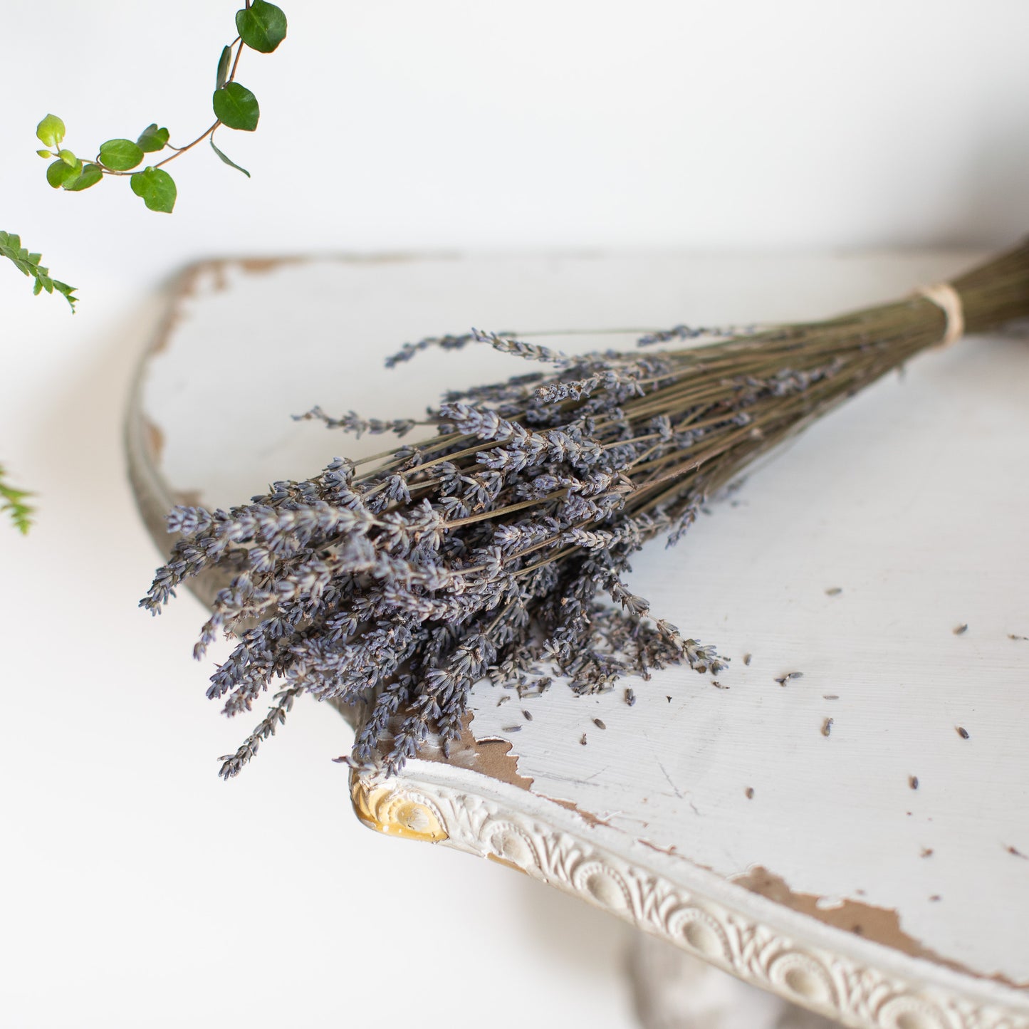 English Lavender Bundle