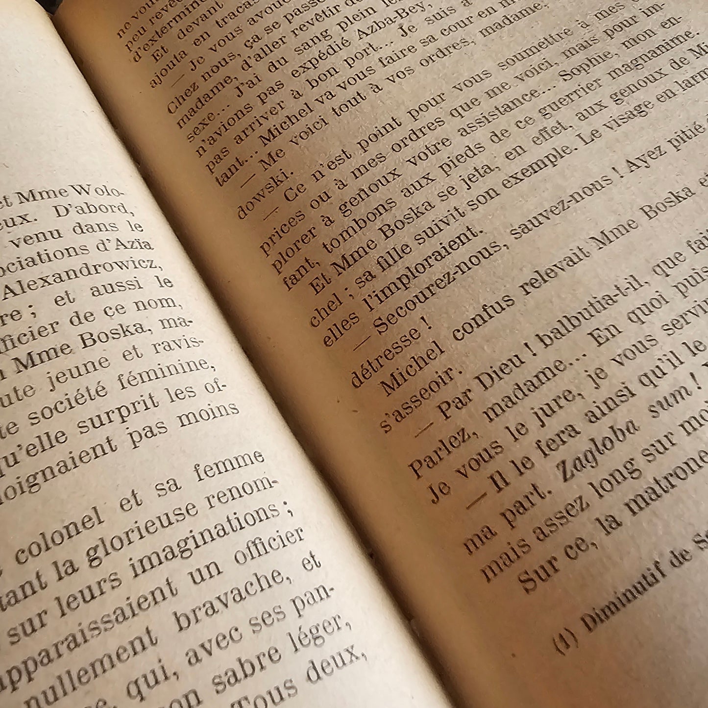 French Antique Book (Set/Trio)