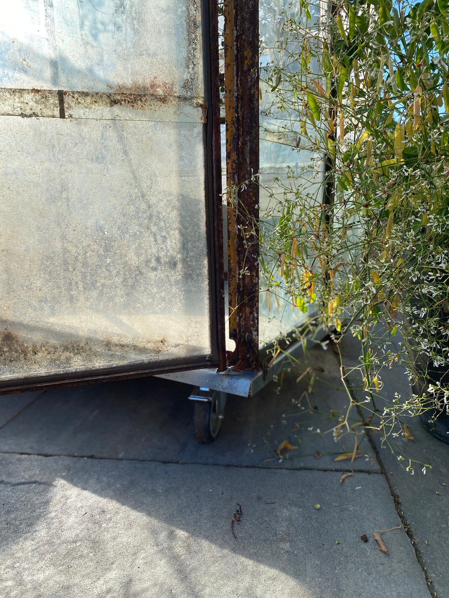 Belgian Glass Greenhouse