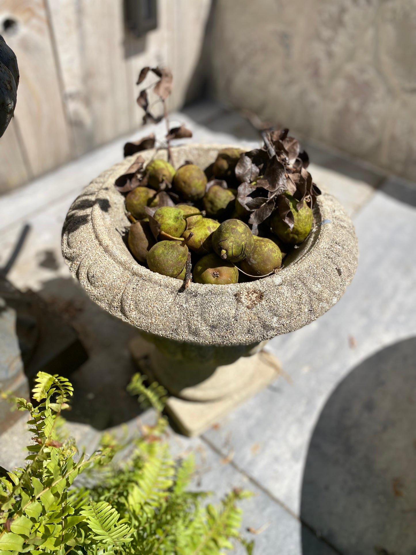 French Cement Urn