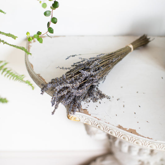 English Lavender Bundle
