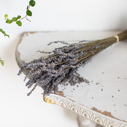 English Lavender Bundle