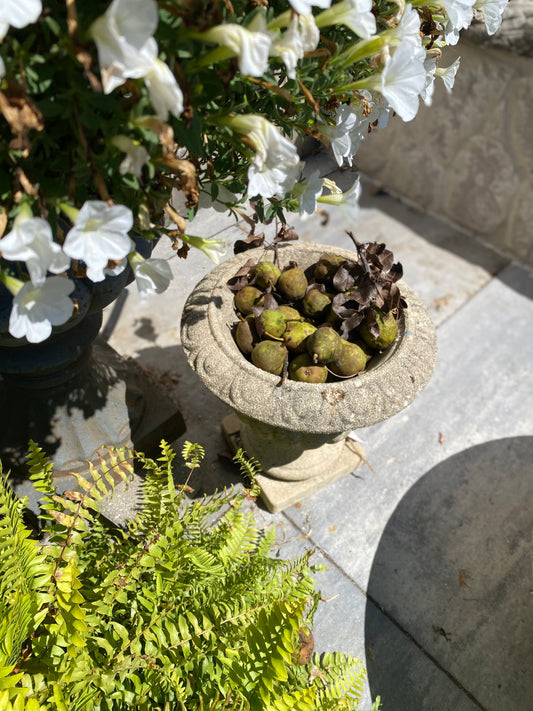 French Cement Urn