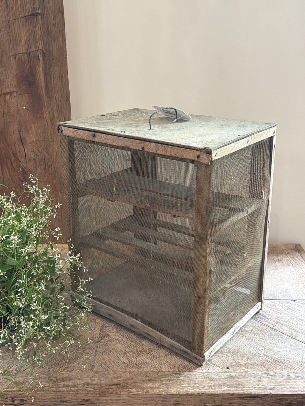 French Cheese Safe