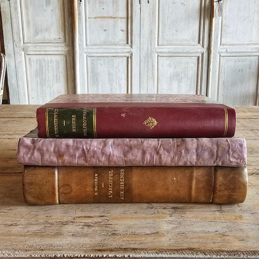 French Antique Book (Set/Trio)