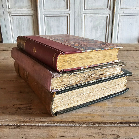 French Antique Book (Set/Trio)