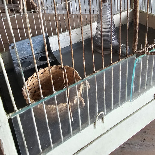 French Mint Green Bird Cage