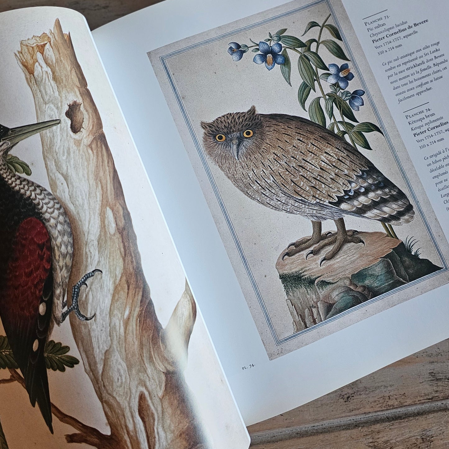 French Coffee Table Book