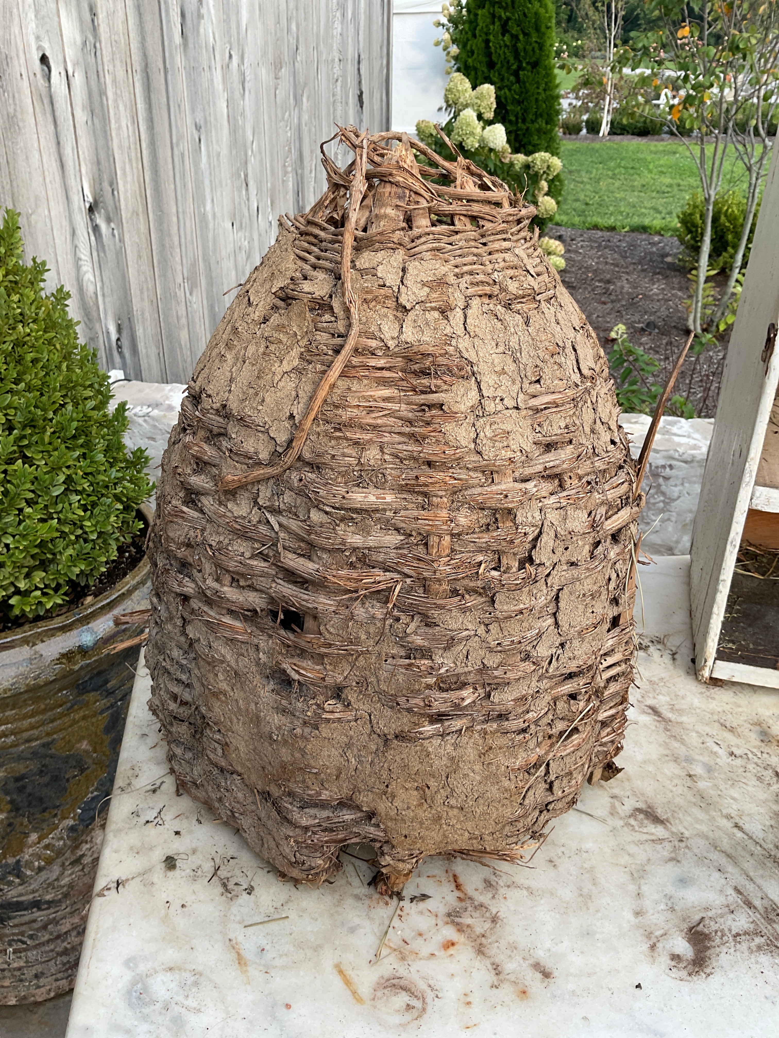 Bee Skep