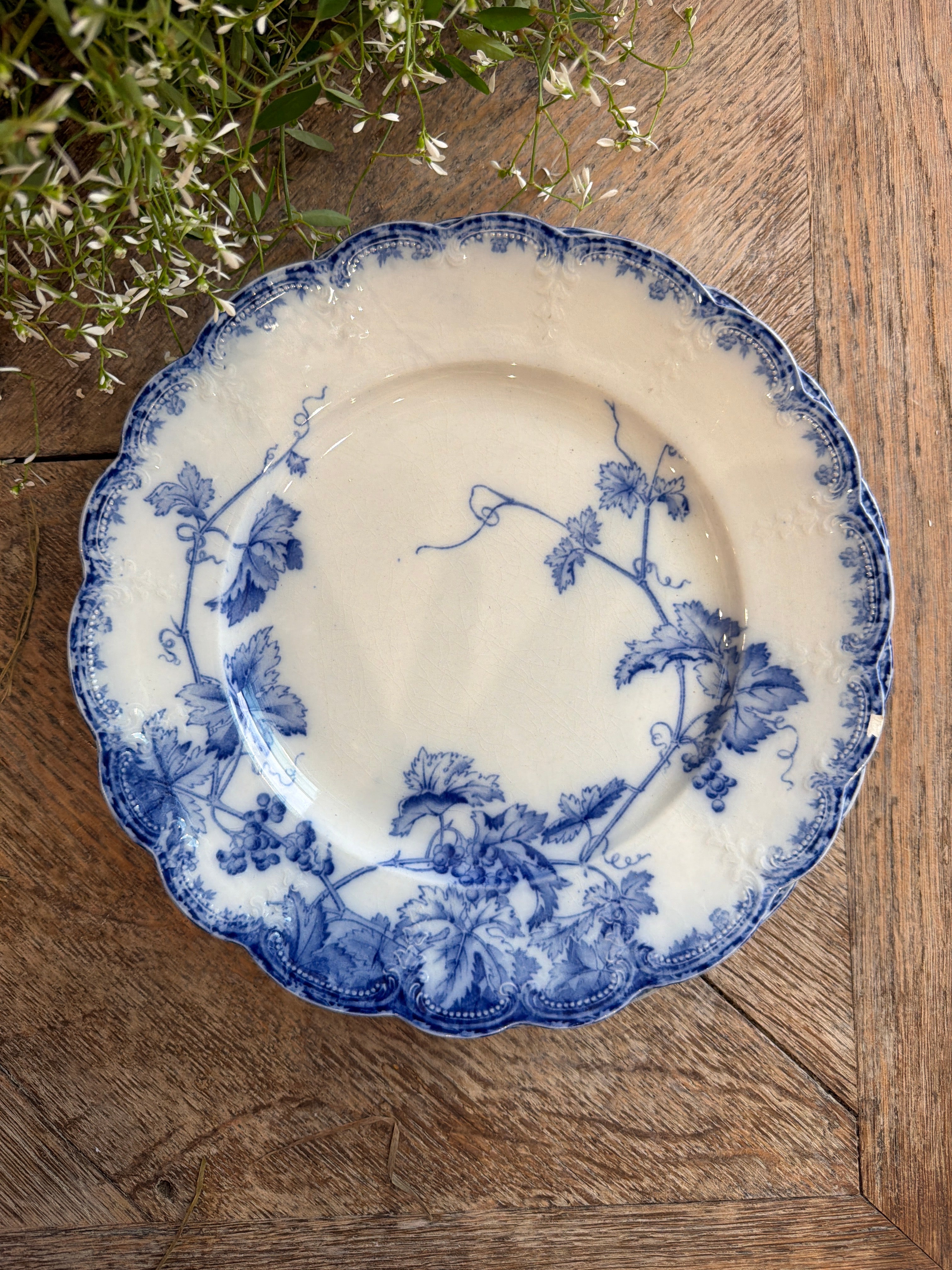 French Scalloped Blue Transferware Plate