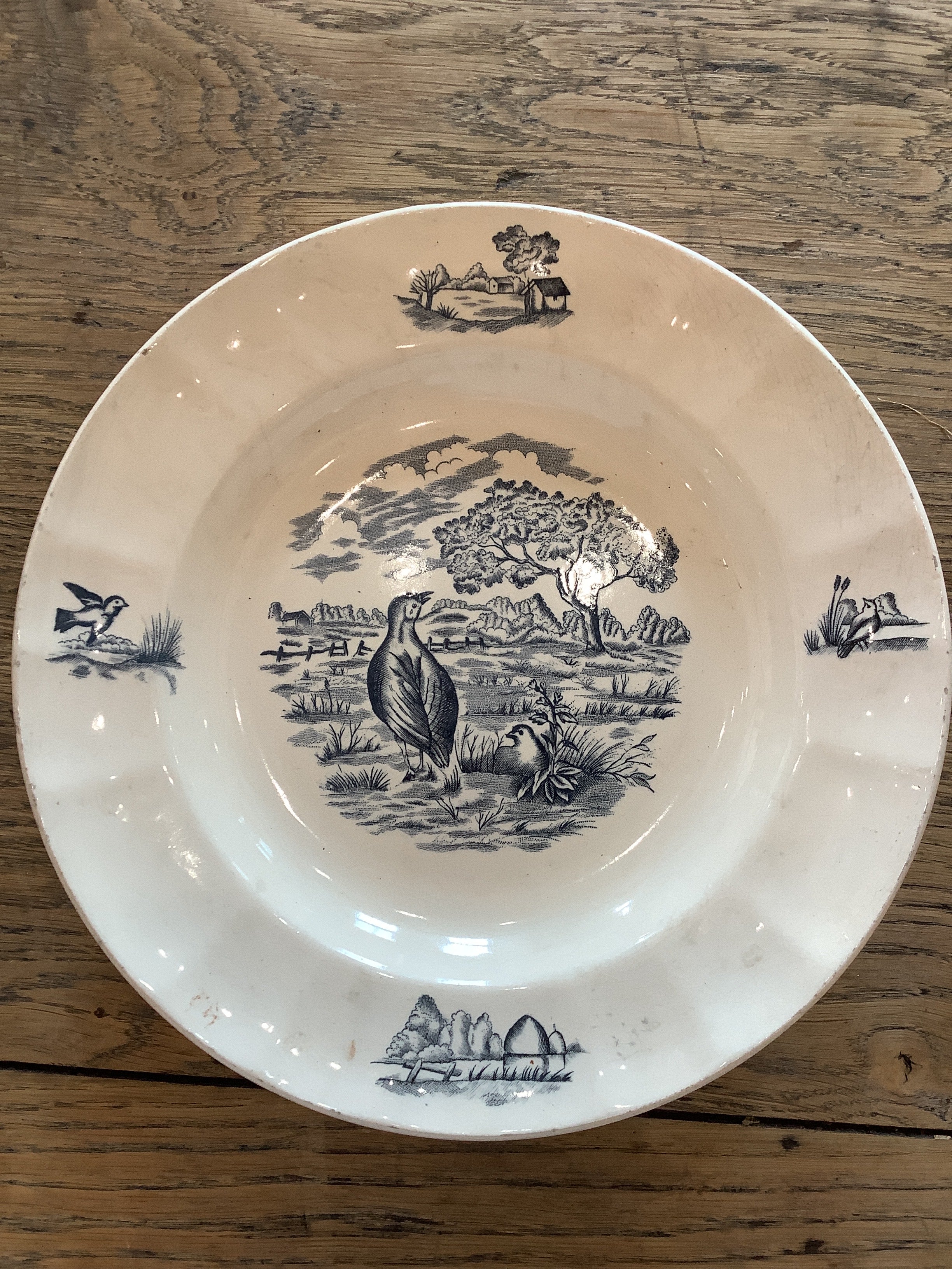Quail Terre De Fer Bowl