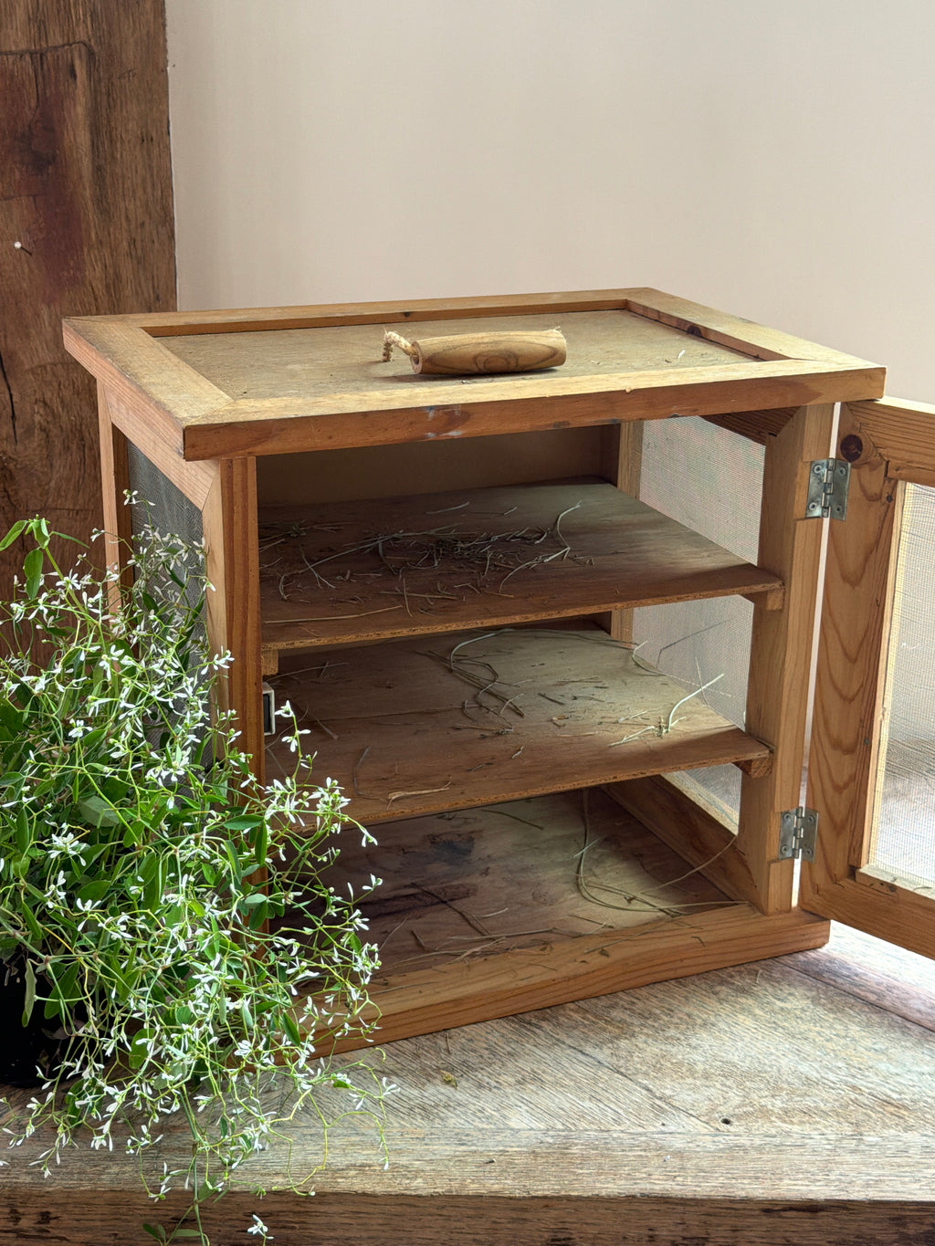 French Cheese Safe