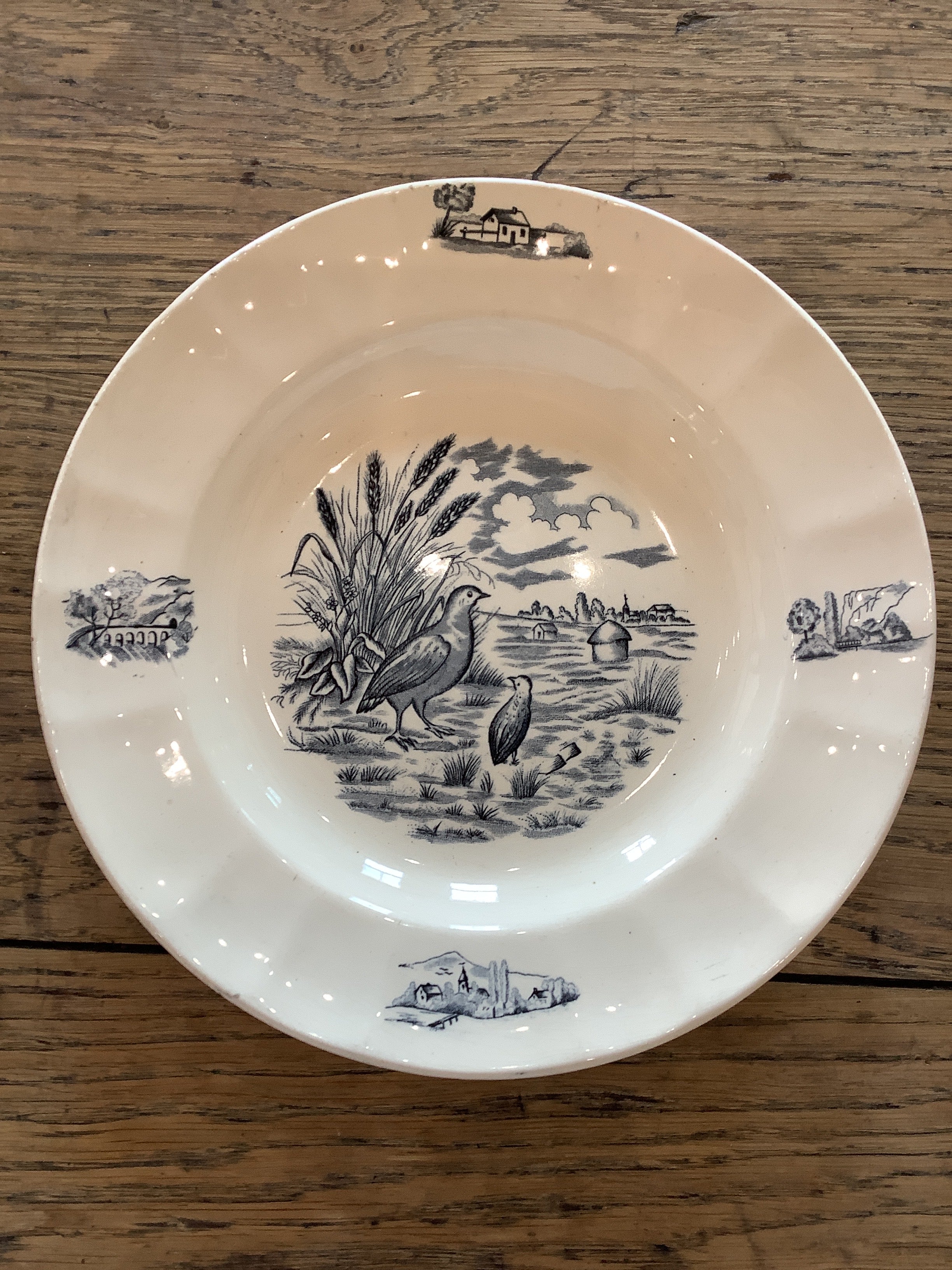 Quail Terre De Fer Bowl