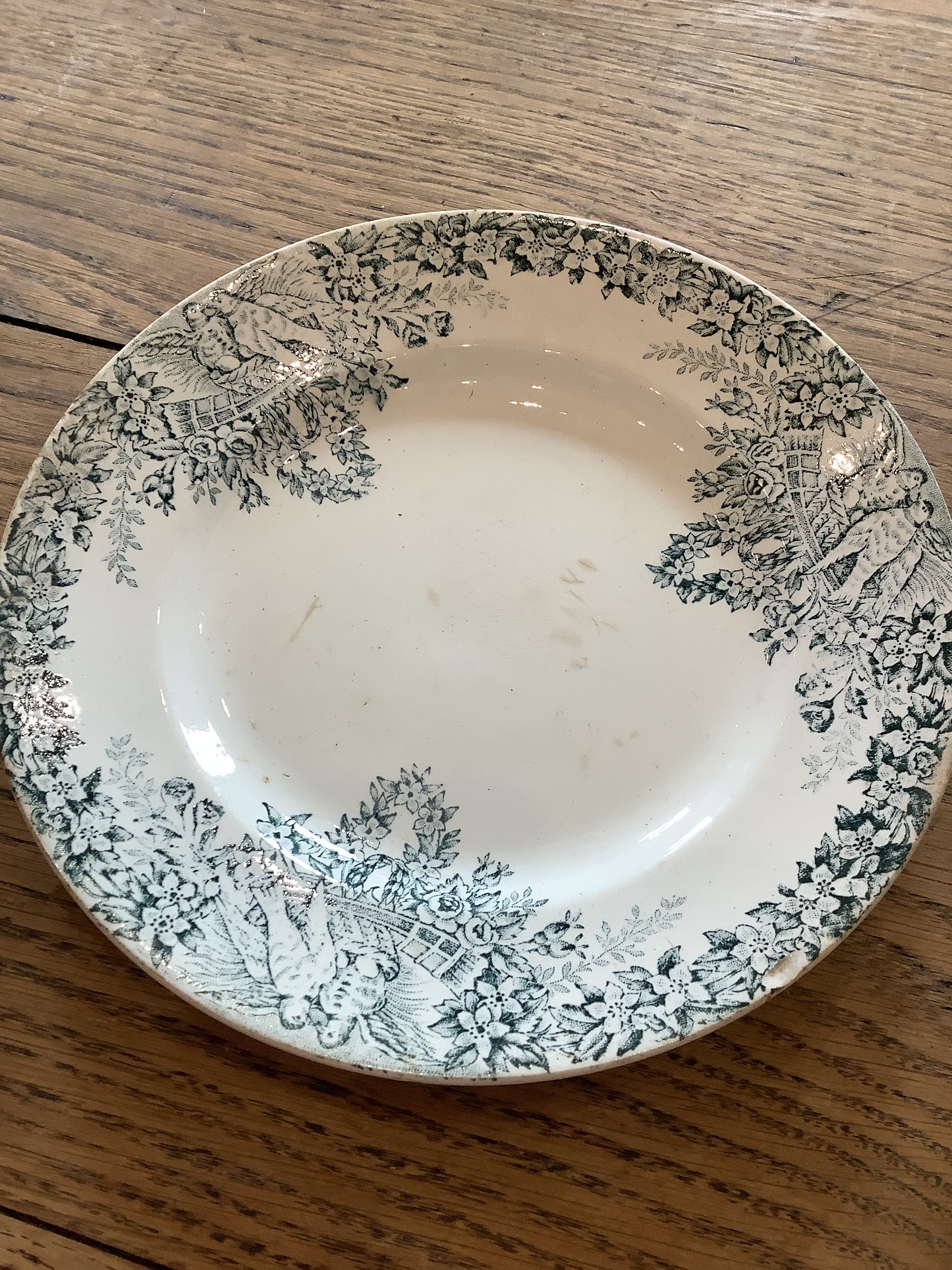 Blue Bird Floral Dish