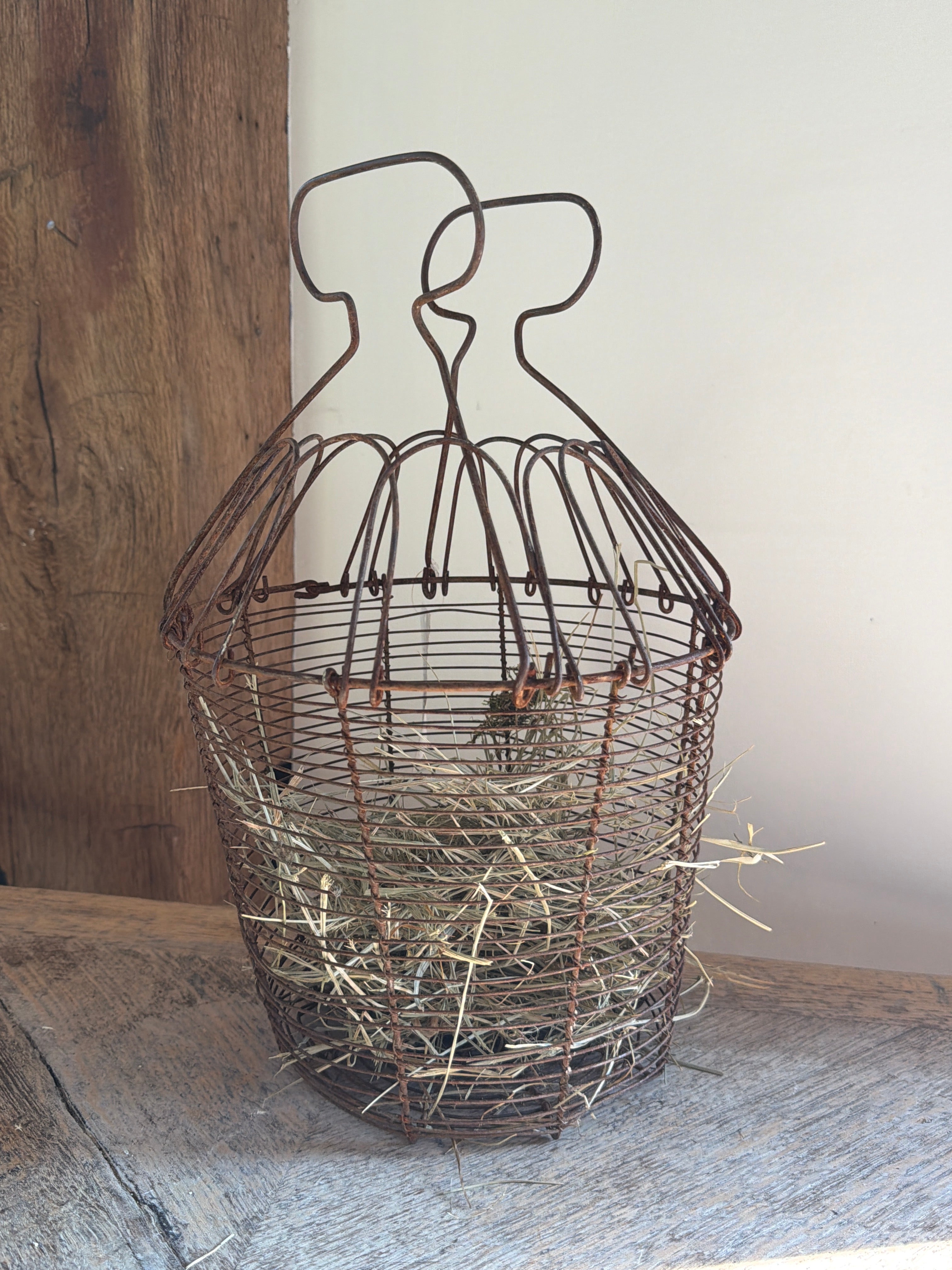 Wire Egg Basket