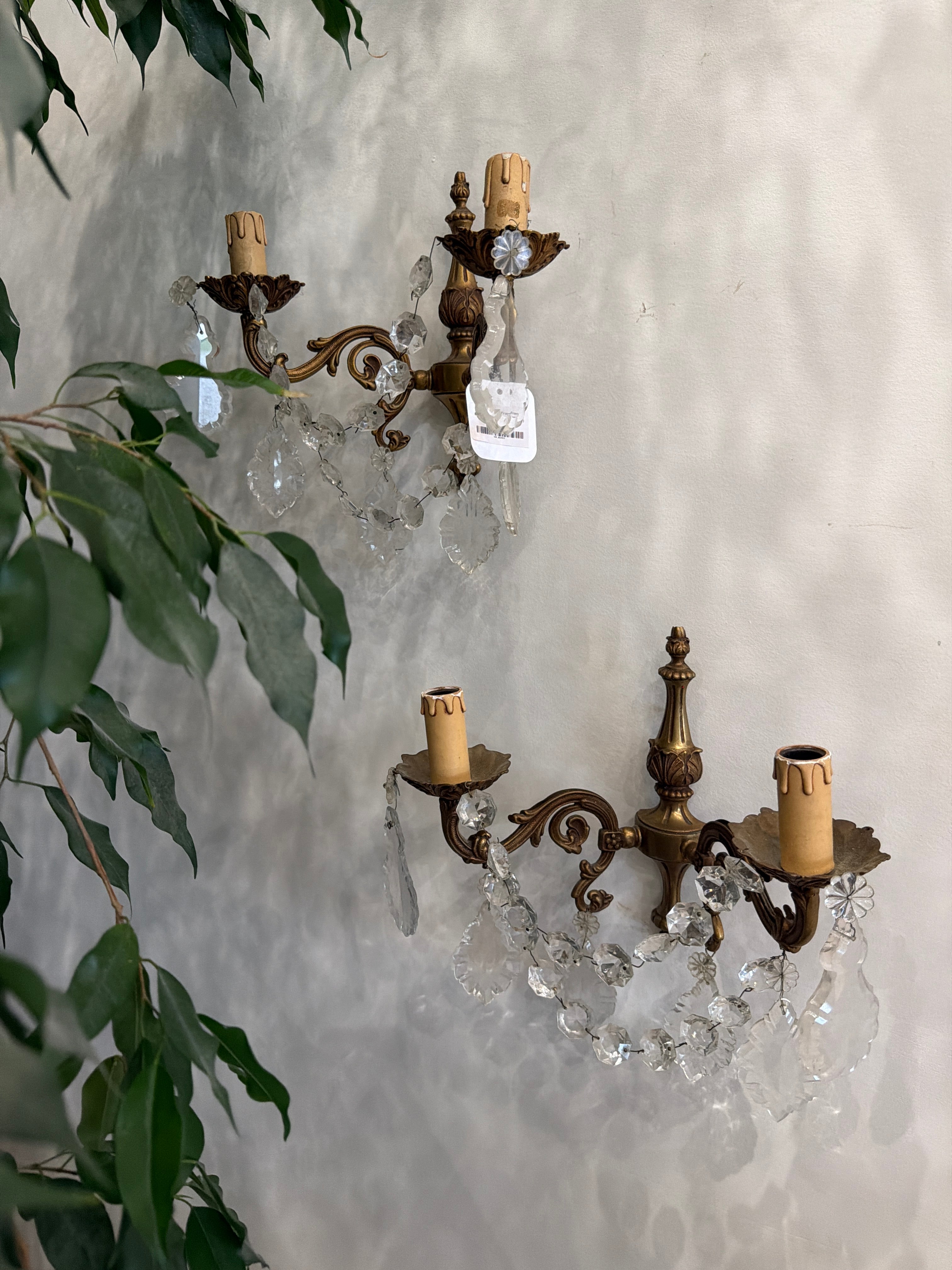 Brass & Crystal Sconce (Set of 2)