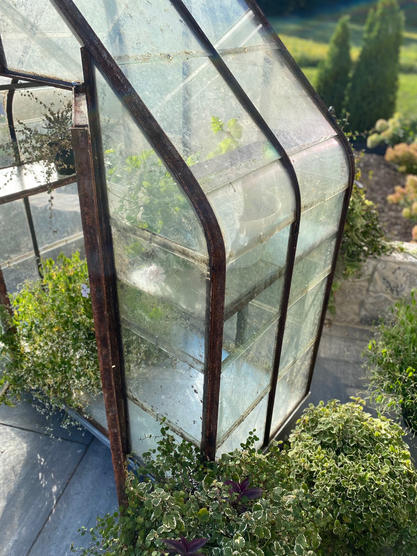Belgian Glass Greenhouse
