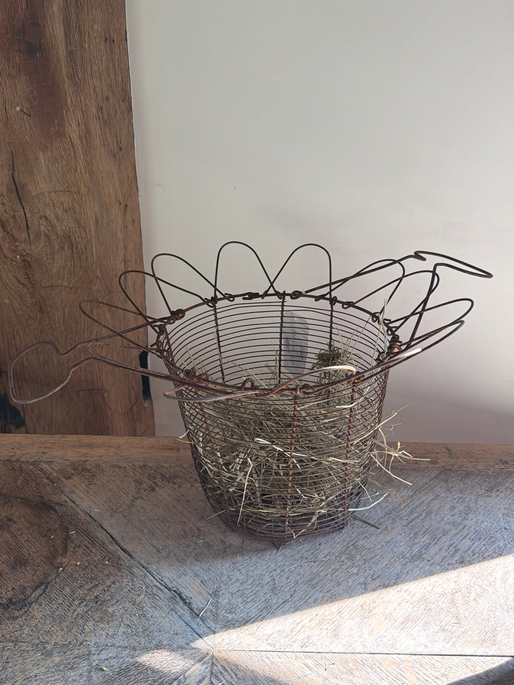 Wire Egg Basket