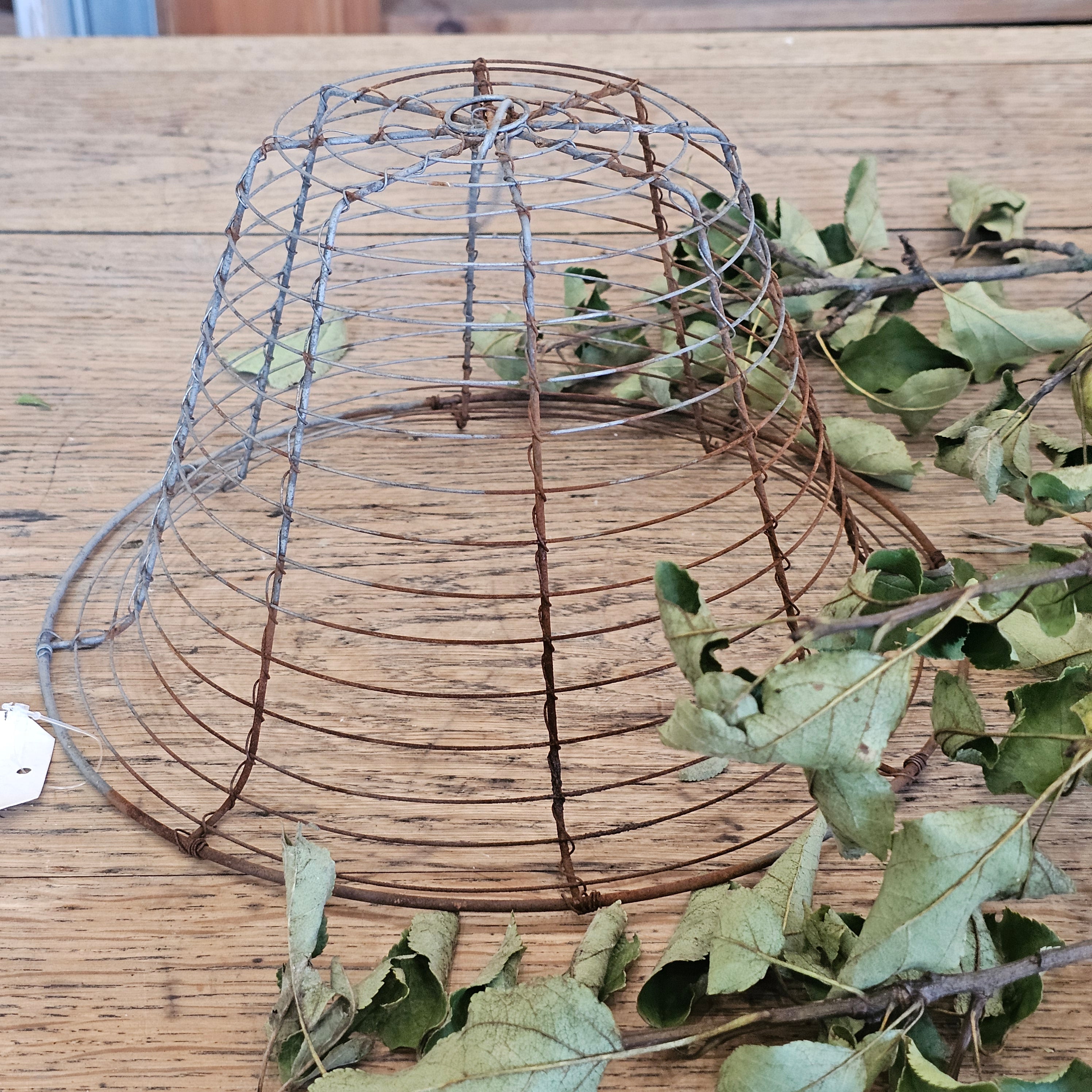 French Wire Garden Cloche