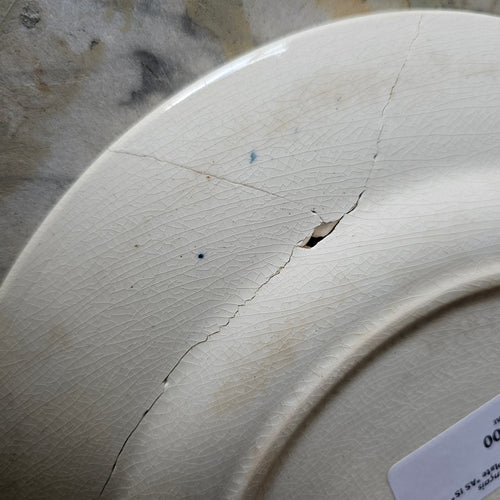Blue Transferware Plate *AS IS*