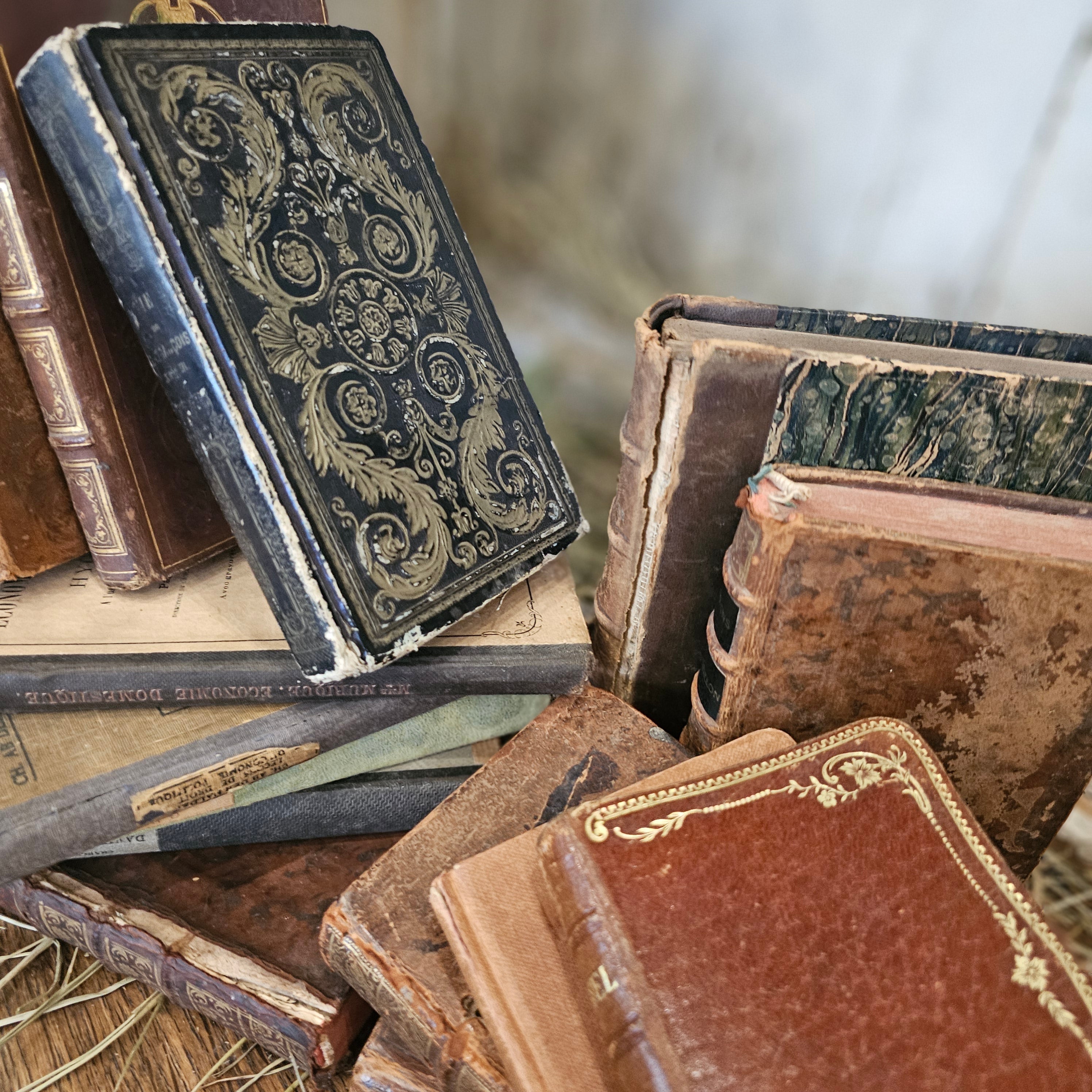 French Antique Book