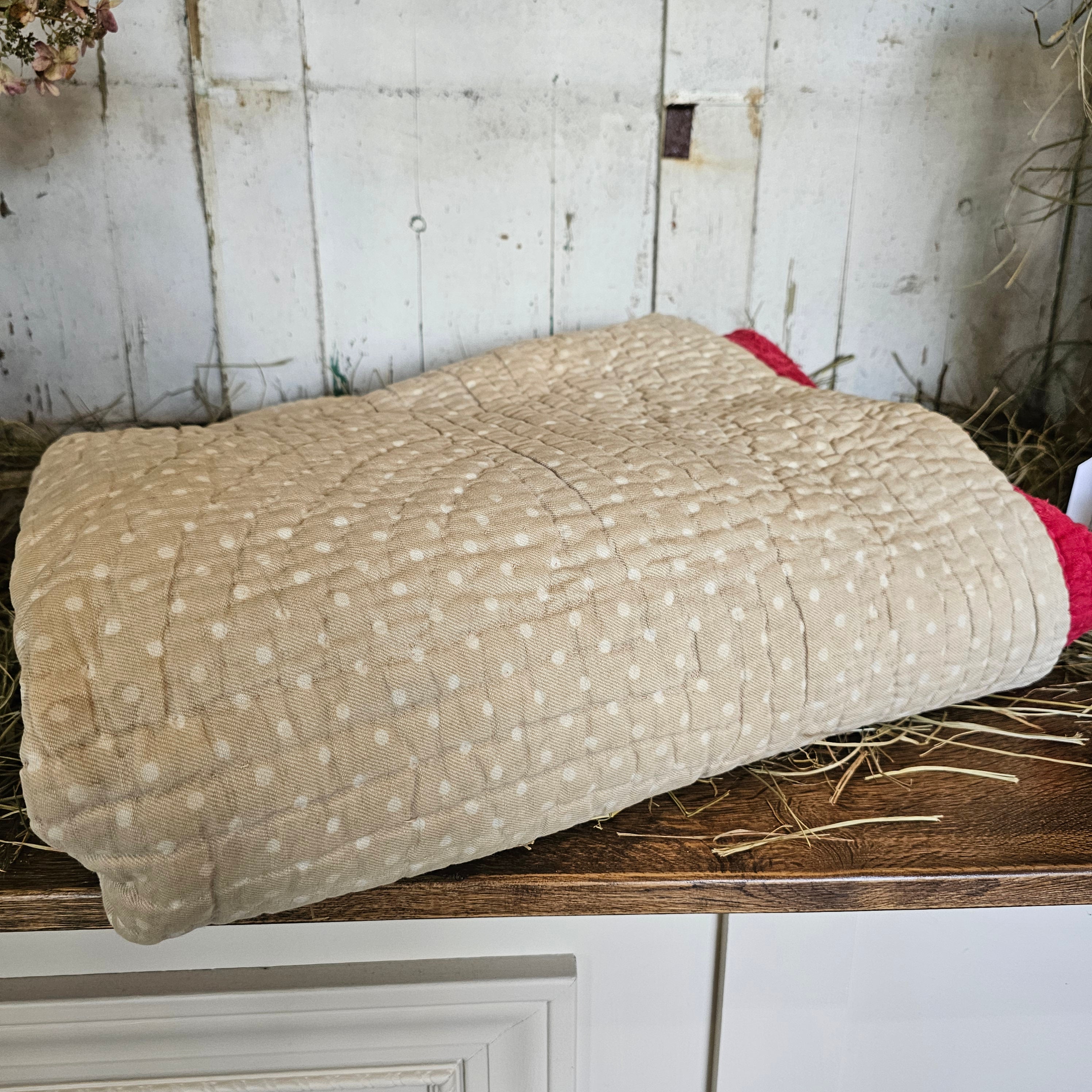 French Neutral Polka Dot Quilt