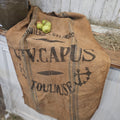 Stenciled Burlap Sack with Blue Stripe