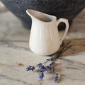 00 Creamer