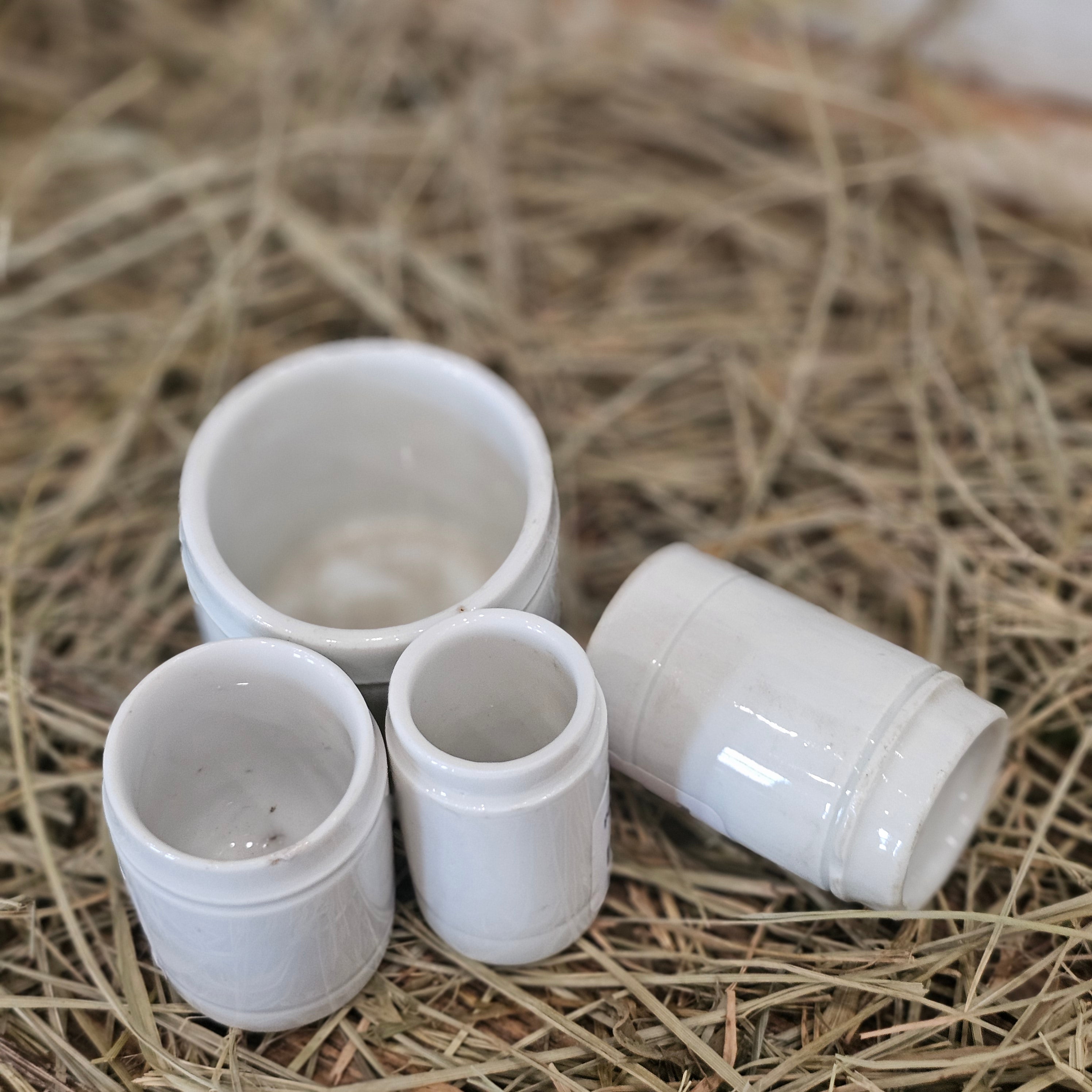 Porcelain Apothecary Jar