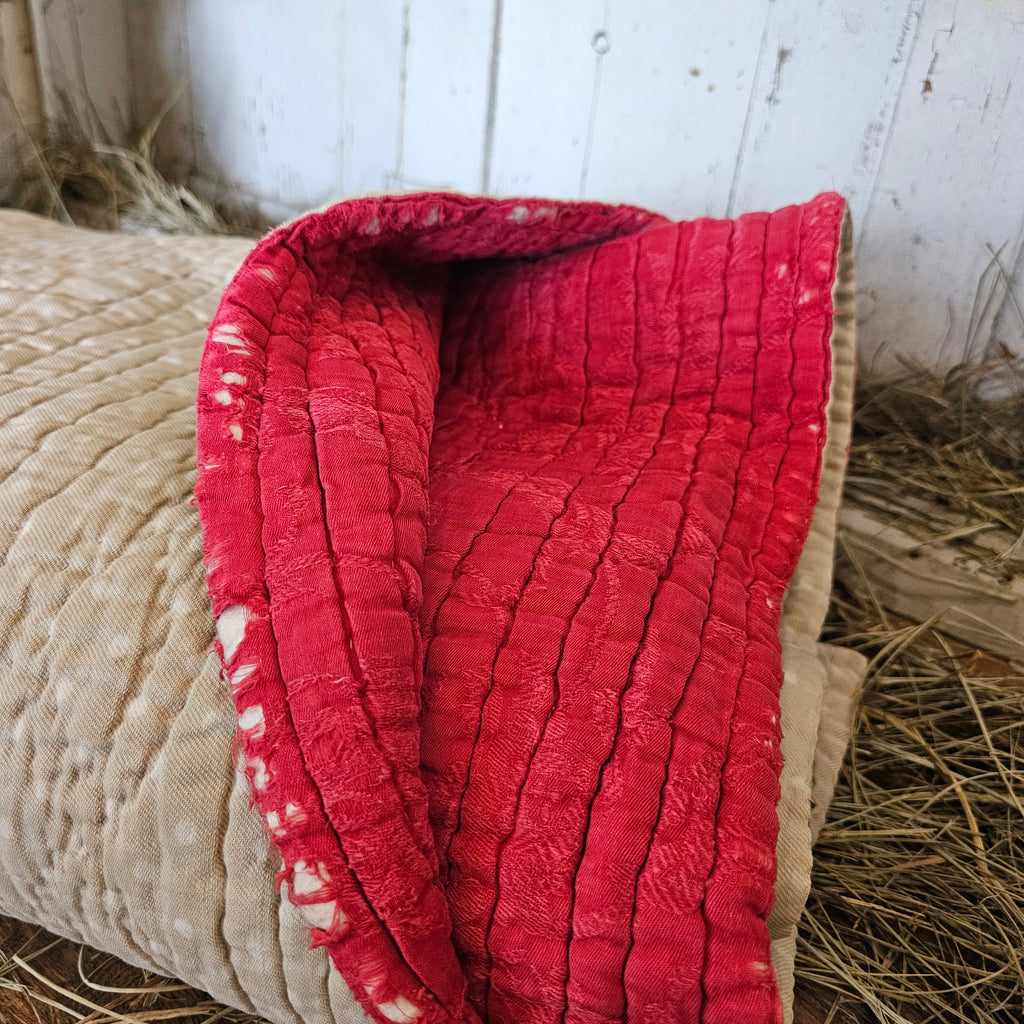 French Neutral Polka Dot Quilt