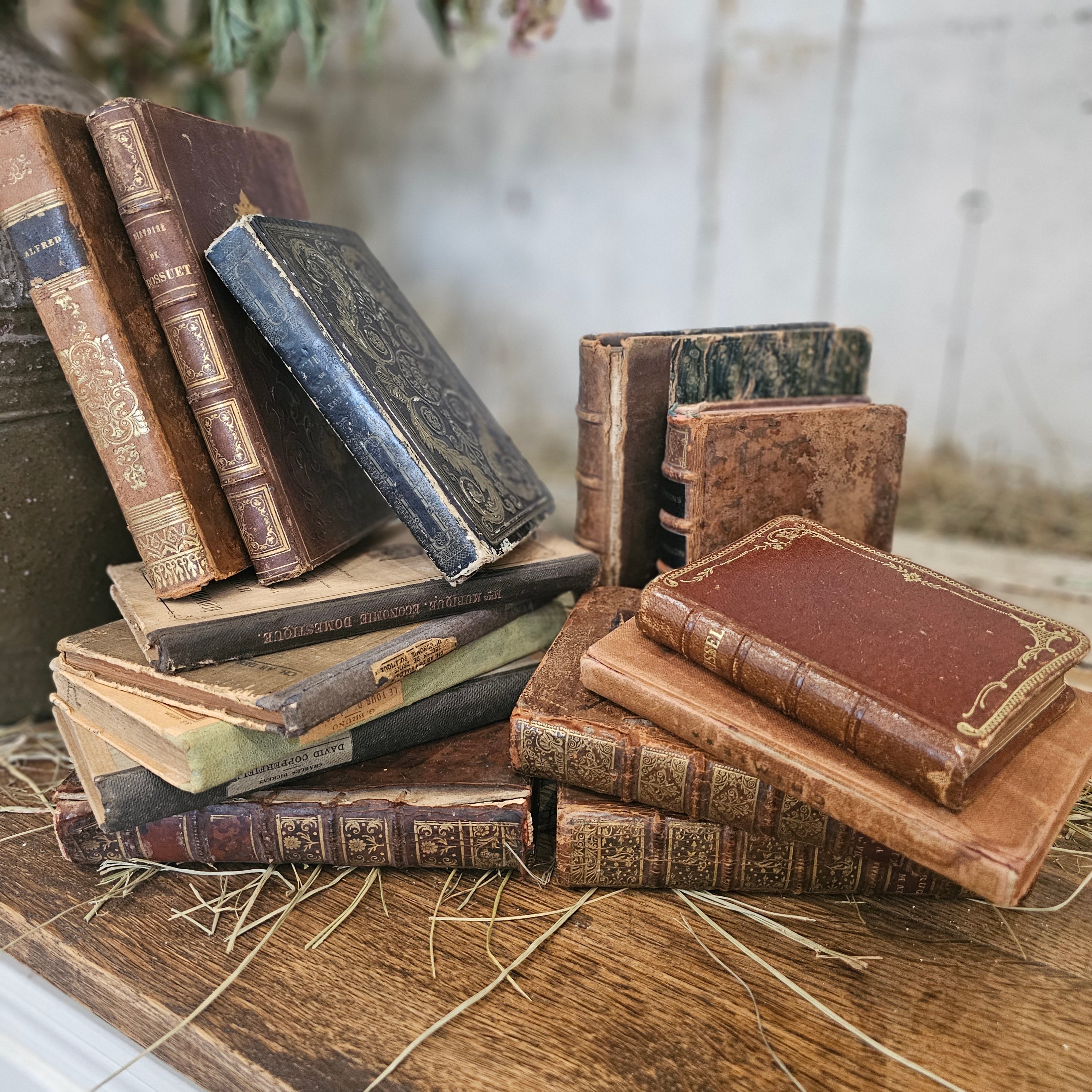 French Antique Book